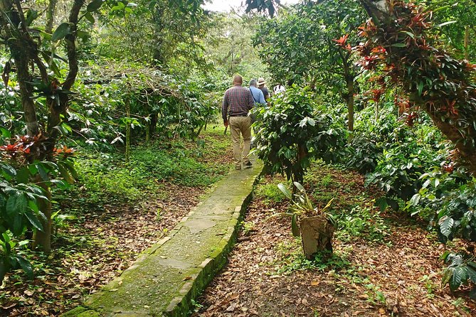 Exclusive Coffee Farm Tour Near Bogota - Good To Know
