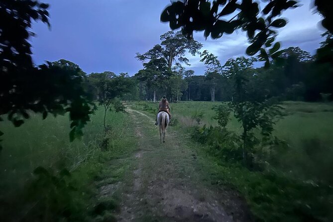 Exclusive Horseback Beach Tour in Puerto Viejo - Tour Highlights