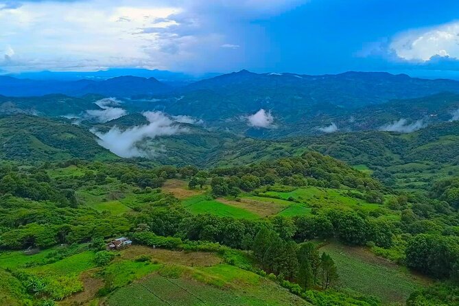 Exclusive Nature Reserve Tour Unveils Hidden Treasures - Tour Overview