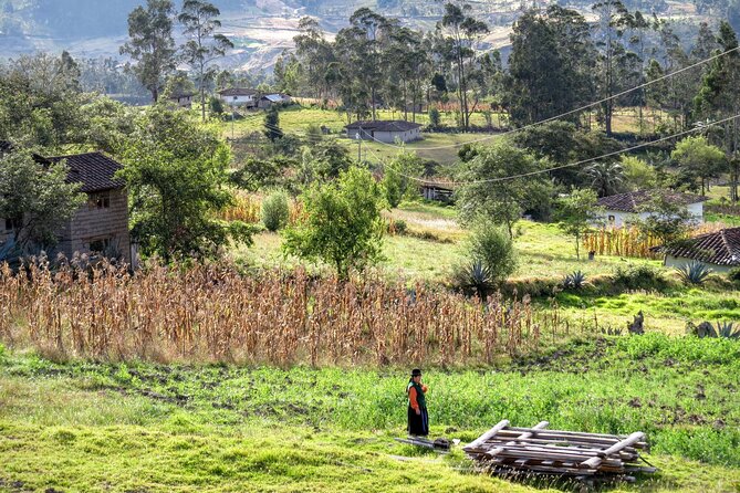 Exclusive Private Shuttle Service: Vilcabamba to Cuenca - Pricing and Lowest Price Guarantee
