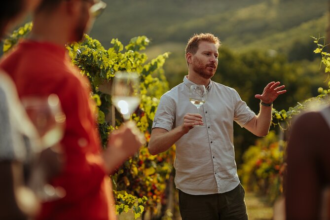Exclusive Winery Transport - Lujan & Maipú - Service Details
