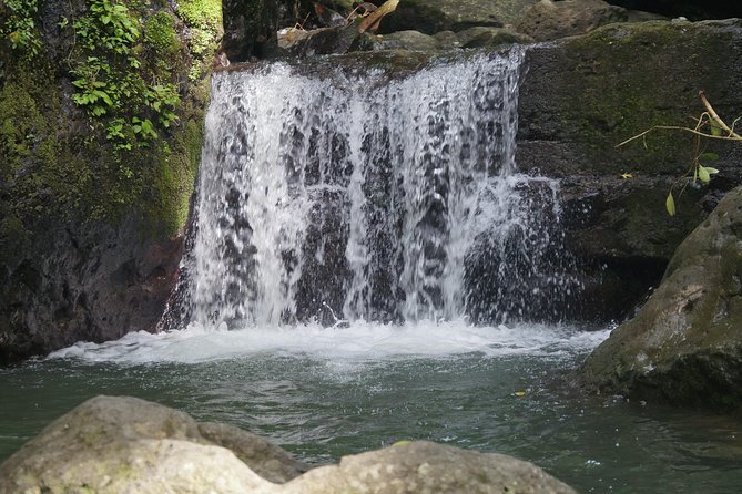 Exhilarating Panama Adventure: Experience Nature in 6 Days - Day 2: Rainforest Canopy Tour