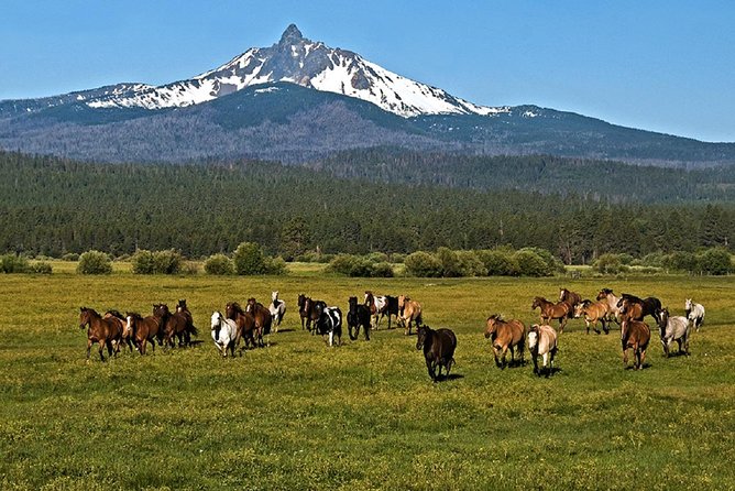 Explore Central Oregon - Outdoor Adventures in Central Oregon