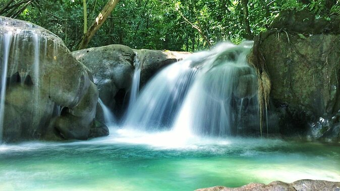 Explore Mayfield Falls - Tour Details at Mayfield Falls