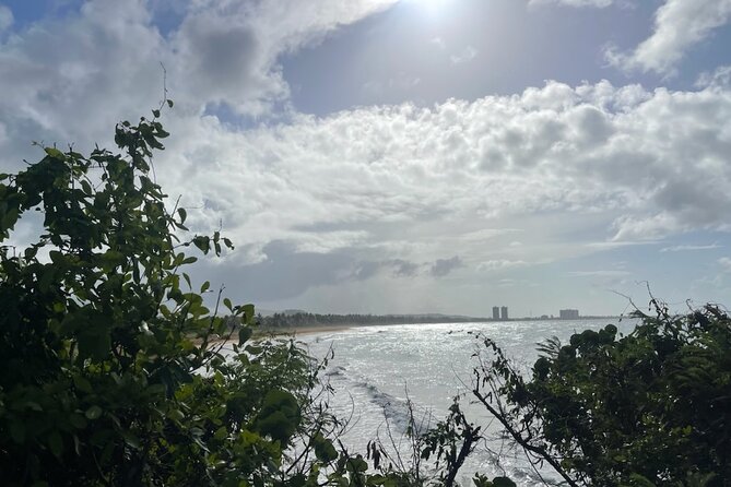 Fajardo Ceiba Ferry Marina Taxi to San Juan Taxi Transportation - Service Overview