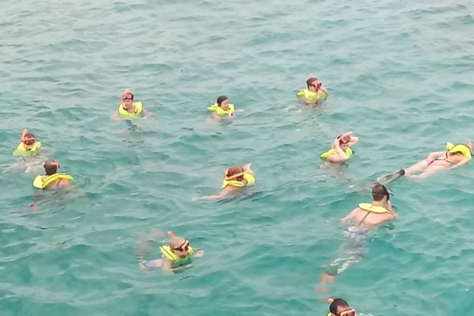 Falmouth Shore Excursion: Private Snorkel Tour - Snorkeling Experience in Falmouth