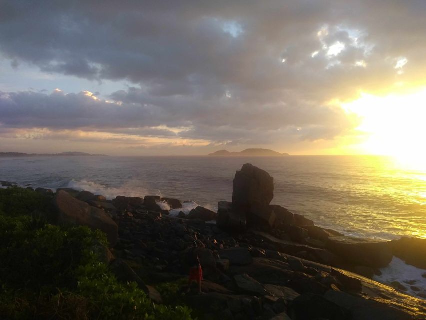 Florianópolis: Tropical Island Panoramic Tour - Tour Highlights