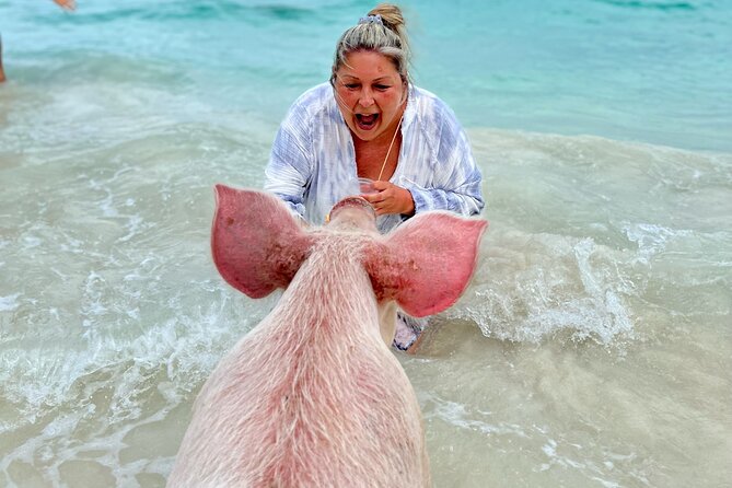 Four-Hour Pig Swim and Activities at Rose Island  - New Providence Island - Boat Ride and Facilities