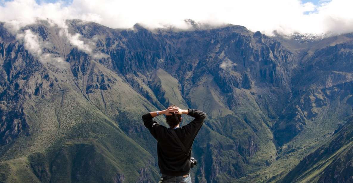 From Arequipa: Colca Canyon All Include Full Day - Tour Overview