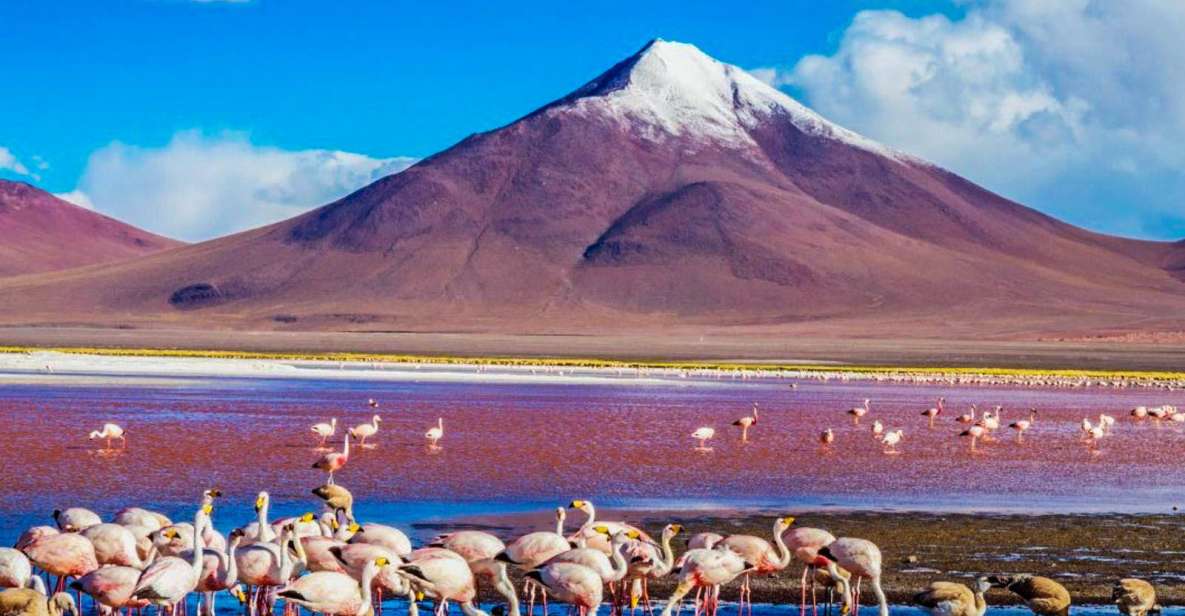 From Atacama Uyuni Salt Flat 4 Days the Largest Salt Flat - Tour Duration and Booking Details