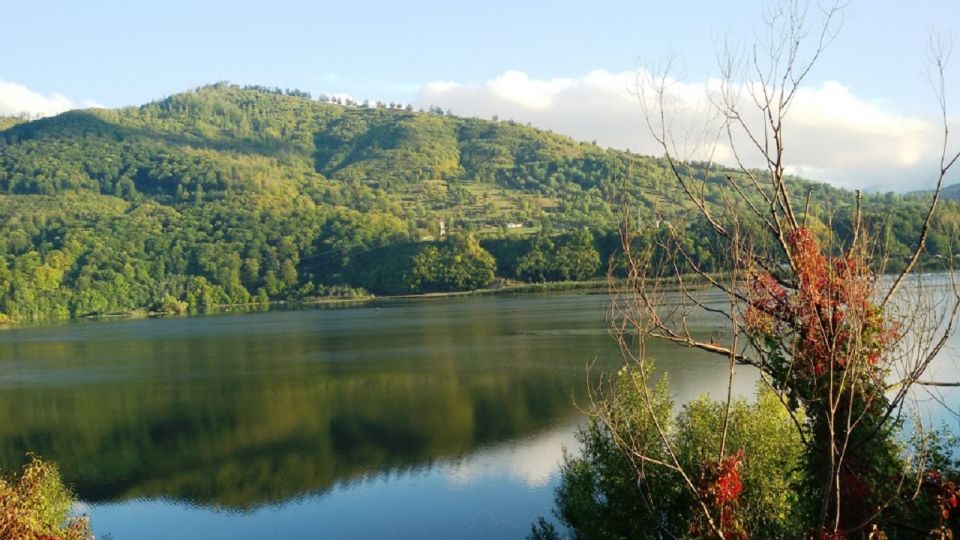 From Bacău: Discover The Dream Landscapes of Eastern Romania - Explore Lacu Red Resort and Lake