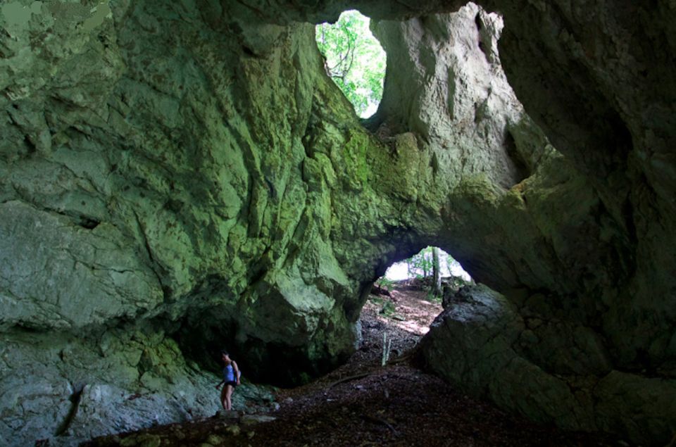 From Bled: Half-Day Pokljuka Gorge Trail Hike - Experience Highlights