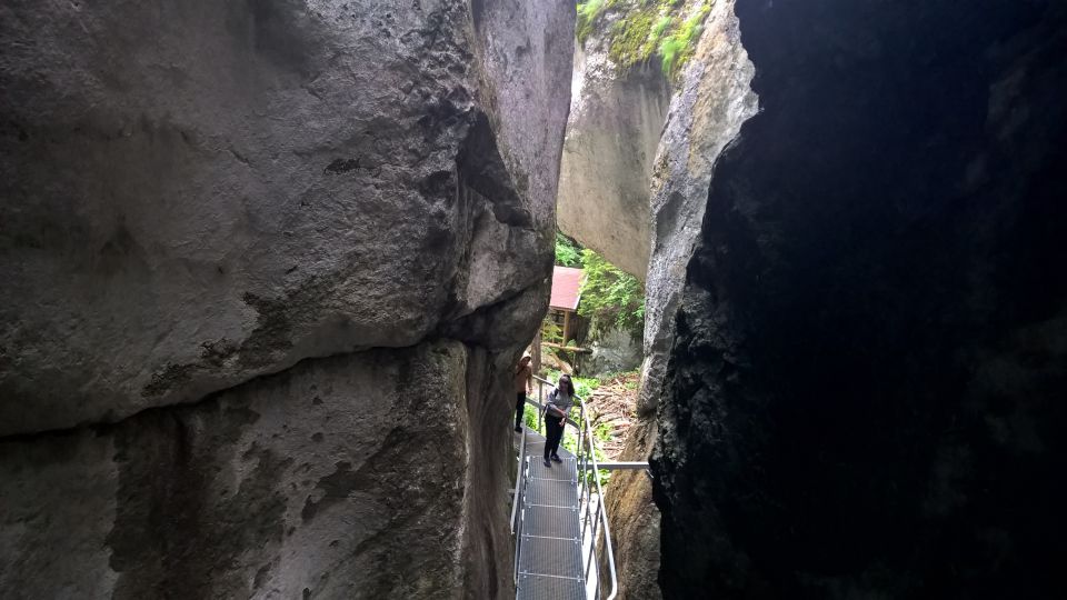 From Brasov: Day Trip to the Seven Ladders Canyon