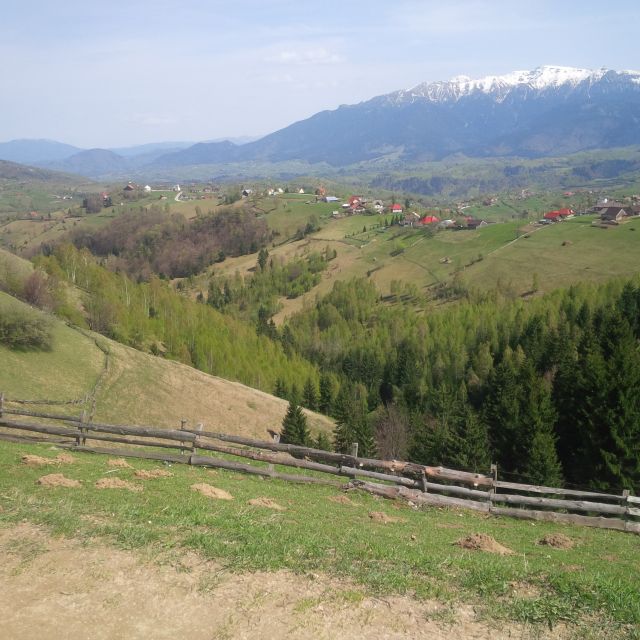 From Brașov: Half or Full Day Transylvania Jeep Tour - Highlights