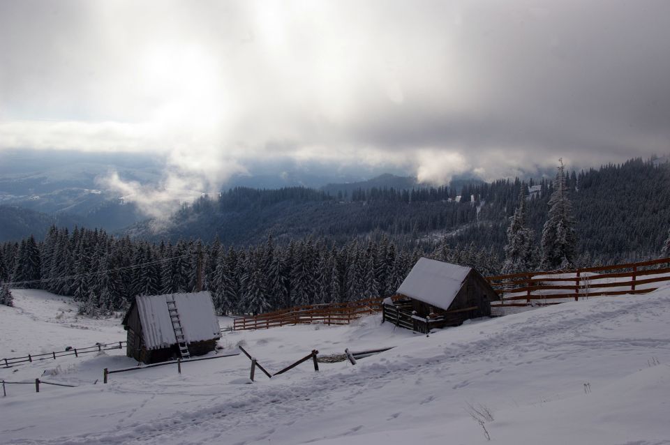 From Cluj-Napoca: Day Hike to Vlădeasa Peak