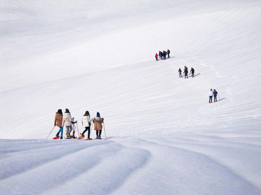 From Cluj: Winter Walking Trip on the Great Mountain - Guided Hike Experience Details