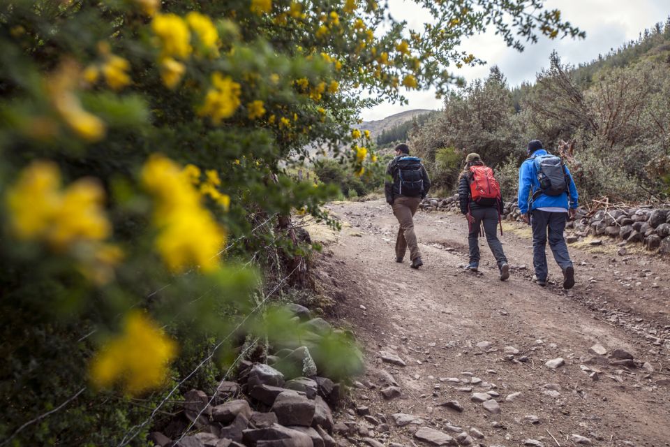 From Cusco: Huchuy Qosqo Private Full-Day Hike - Activity Details