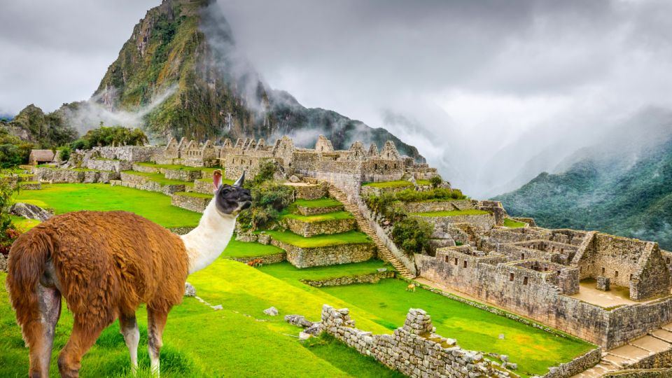 From Cusco: Machu Picchu Day Trip by Vistadome Train - Activity Details