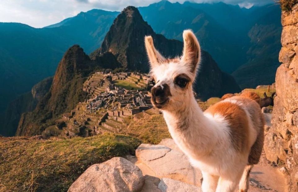 From Cusco: Machu Picchu Private Full-Day Tour With Transfer - Booking and Logistics