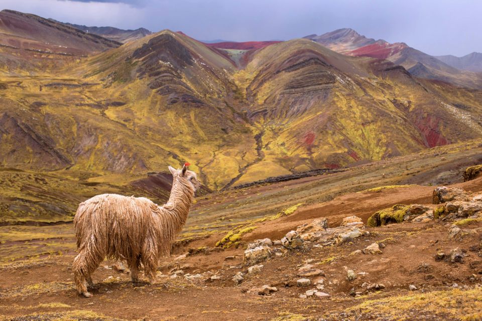 From Cusco: Palcoyo Mountain Range Full Day Hike - Activity Details
