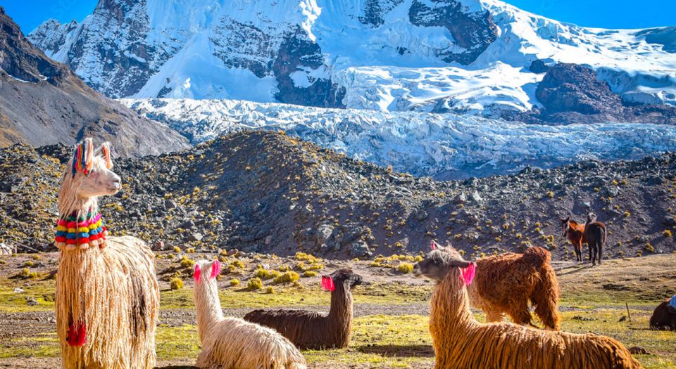 From Cusco Private Service - Tour 7 Ausangate Lagoons - Booking Details