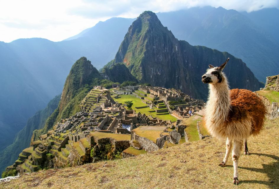 From Cusco Tour to Machu Picchu With Entrance Feeslunch