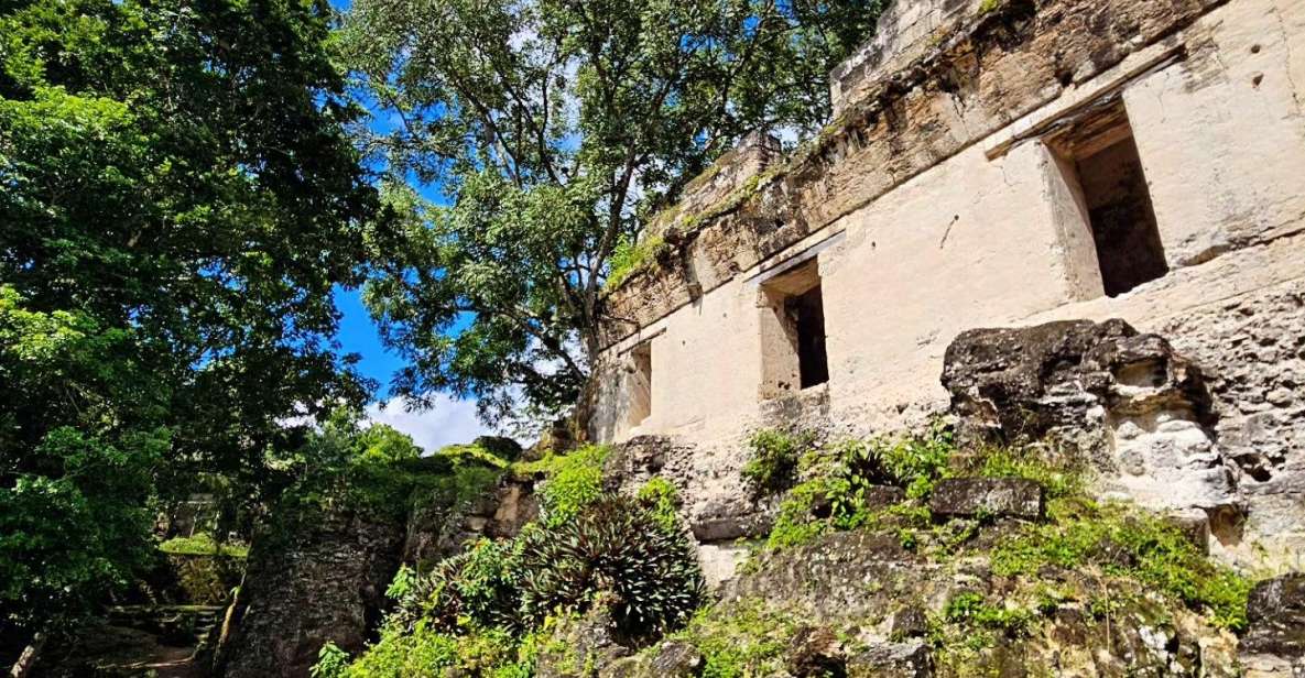 From Flores: Exclusive Tikal Group Tour - Tour Highlights