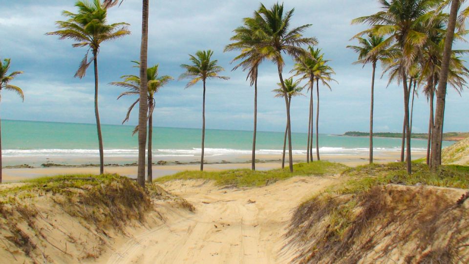 From Fortaleza: Lagoinha Beach Day Trip - Experience Highlights