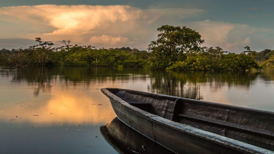 From Iquitos: Amazonas 4 Days 3 Nights - Key Highlights of the Amazonas Experience