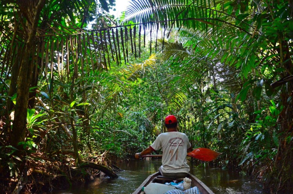 From Iquitos Navigate the Amazon River - Full Day - Good To Know