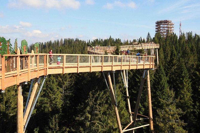 From Kraków: Slovakia Treetop Walk and Bachledka Ski - Tour Details