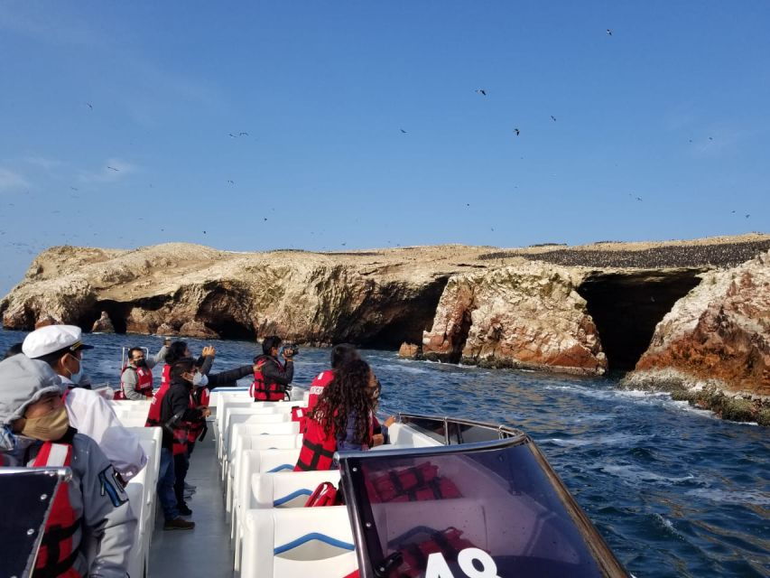 From Lima: Ballestas Island and Paracas Reserve Private Tour - Good To Know
