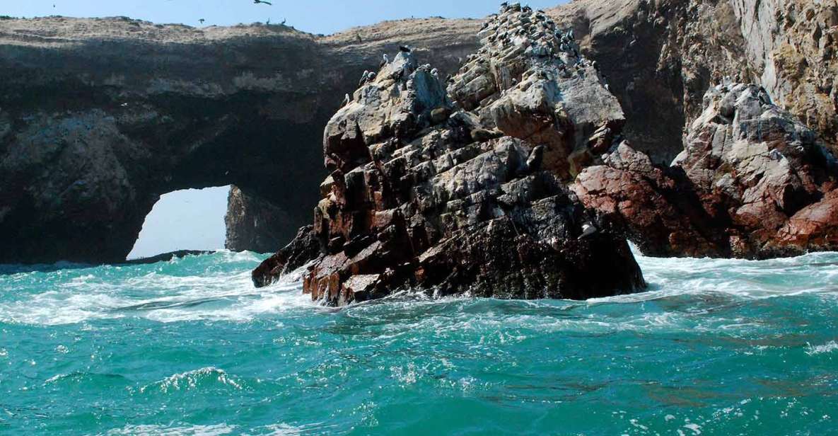 From Lima Ballestas Islands and Huacachina Tour - Tour Booking Details