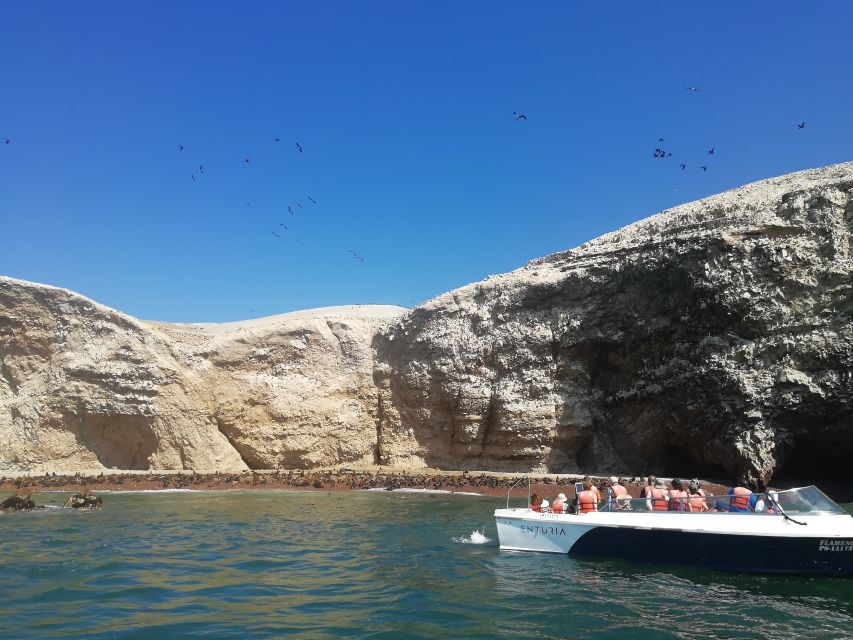 From Lima: Ballestas Islands, Paracas Reserve & Museum Tour - Tour Activity Details