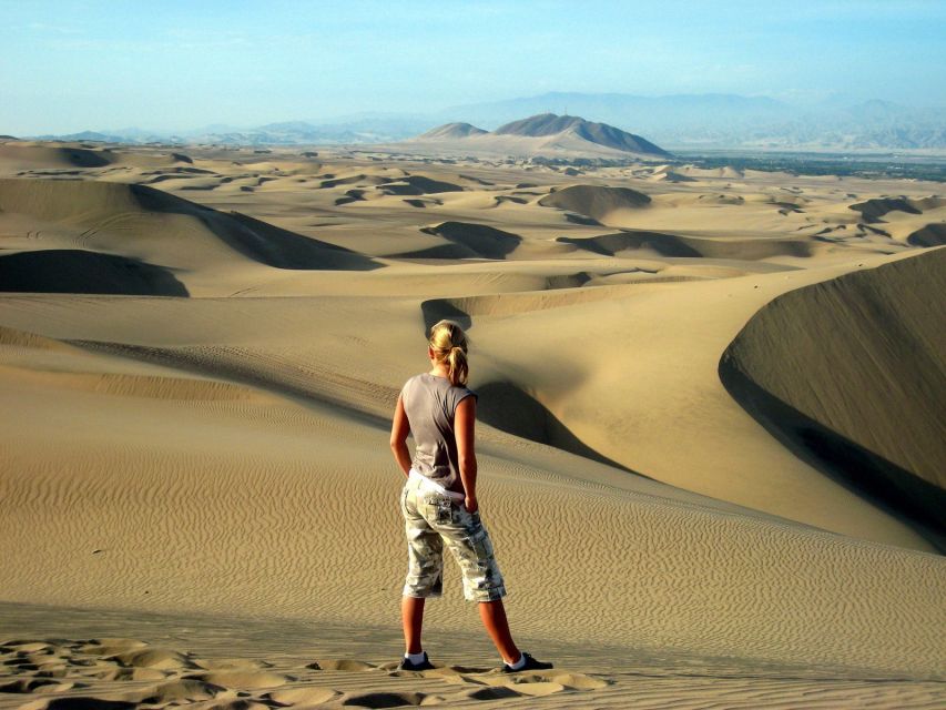From Lima: Paracas and Huacachina Full Day Guided Tour - Tour Highlights