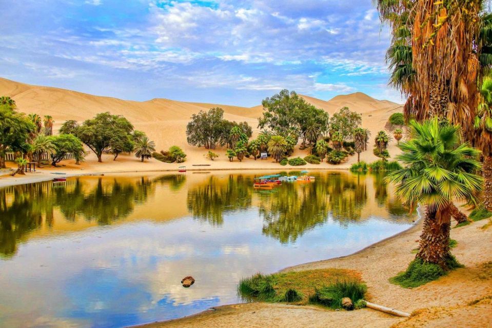 From Lima: Paracas and Huacachina Guided Desert Oasis Trip - Highlights