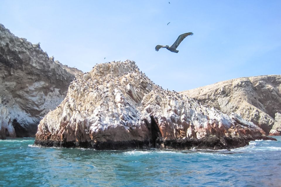 From Lima: Tour to Paracas, Ica and Huacachina - Tour Overview