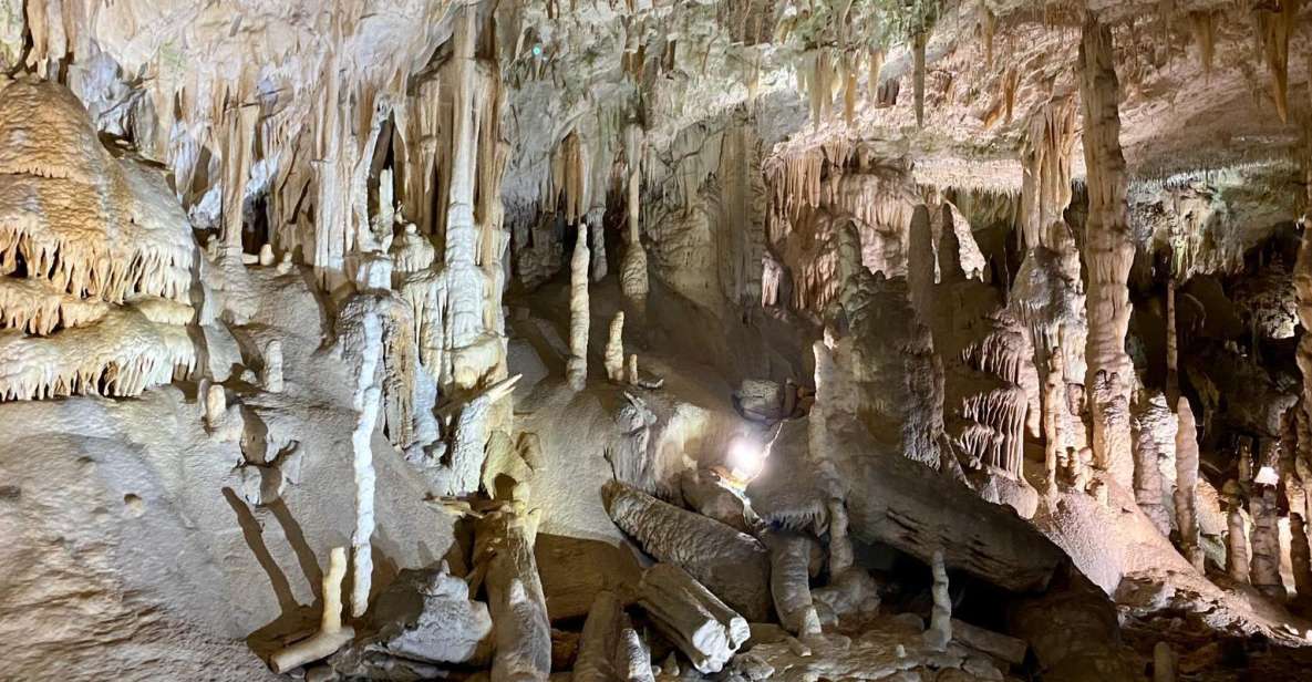 From Ljubljana: Postojna Cave Day Trip - Tour Highlights