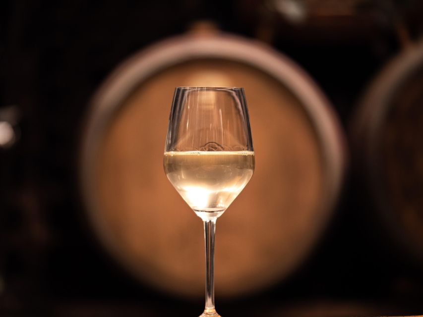 From Ljubljana: Vipava Valley Wine Express Tour - Full Description