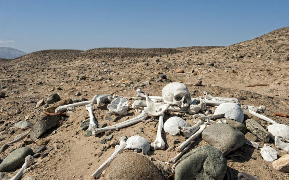 From Nazca Excursion to the Chauchilla Cemetery - Activity Details