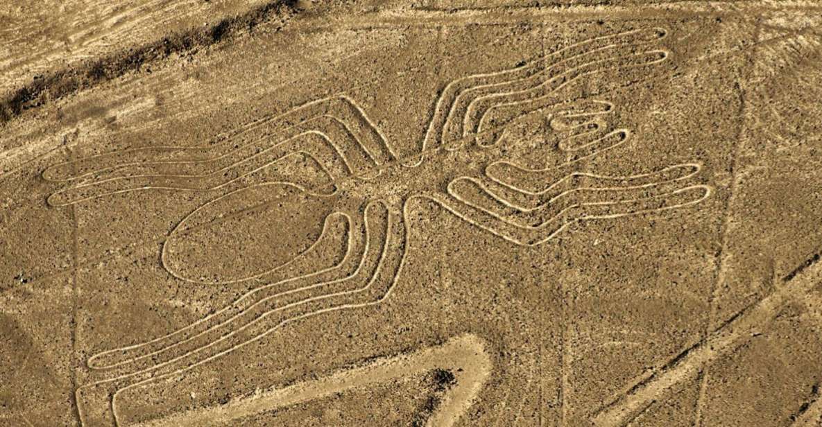 From Nazca: Small Plane Flight Over the Nazca Lines - Booking Details for the Small Plane Flight