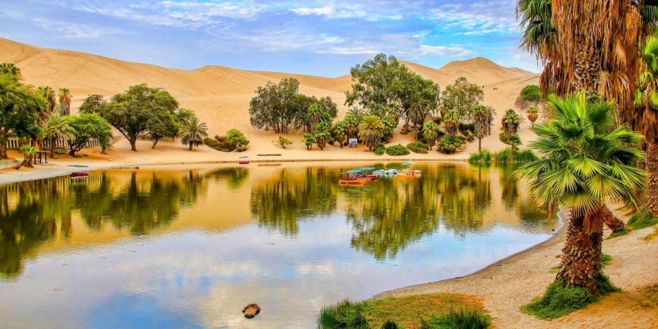 From Paracas Excursion to Ica and Huacachina - Tour Booking Details