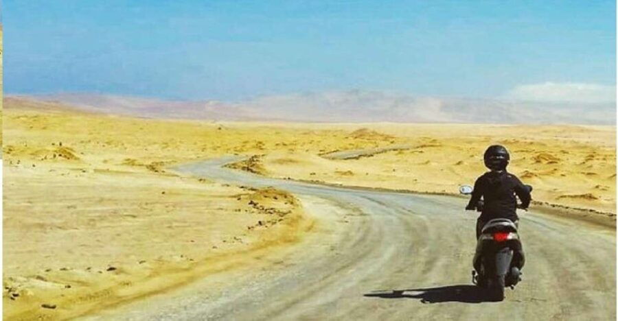 From Paracas: Tour Scootering to Paracas National Reserve - Good To Know