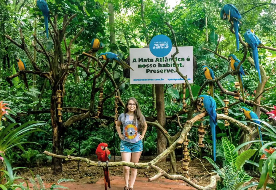 From Puerto Iguazú: Brazilian Bird Park Tour With Tickets - Experience Highlights