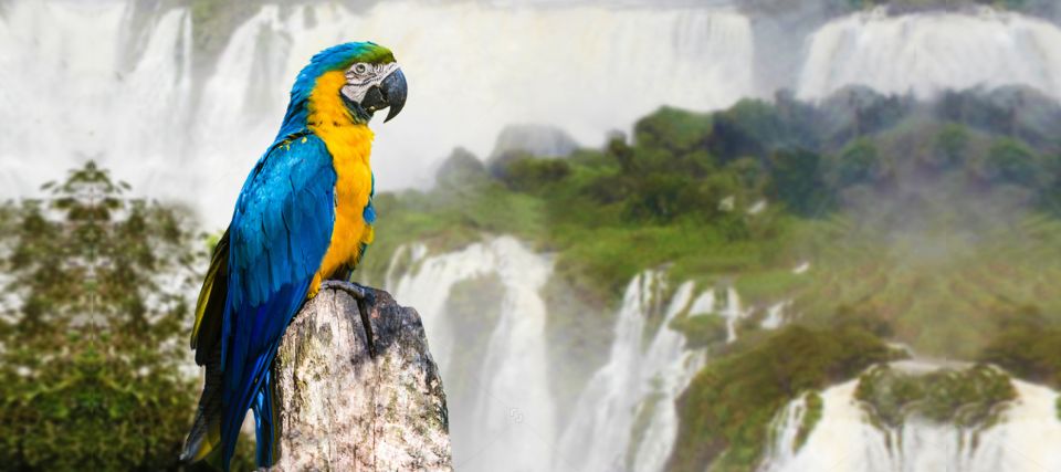 From Puerto Iguazu: Half-Day Brazilian Falls Excursion - Booking Details