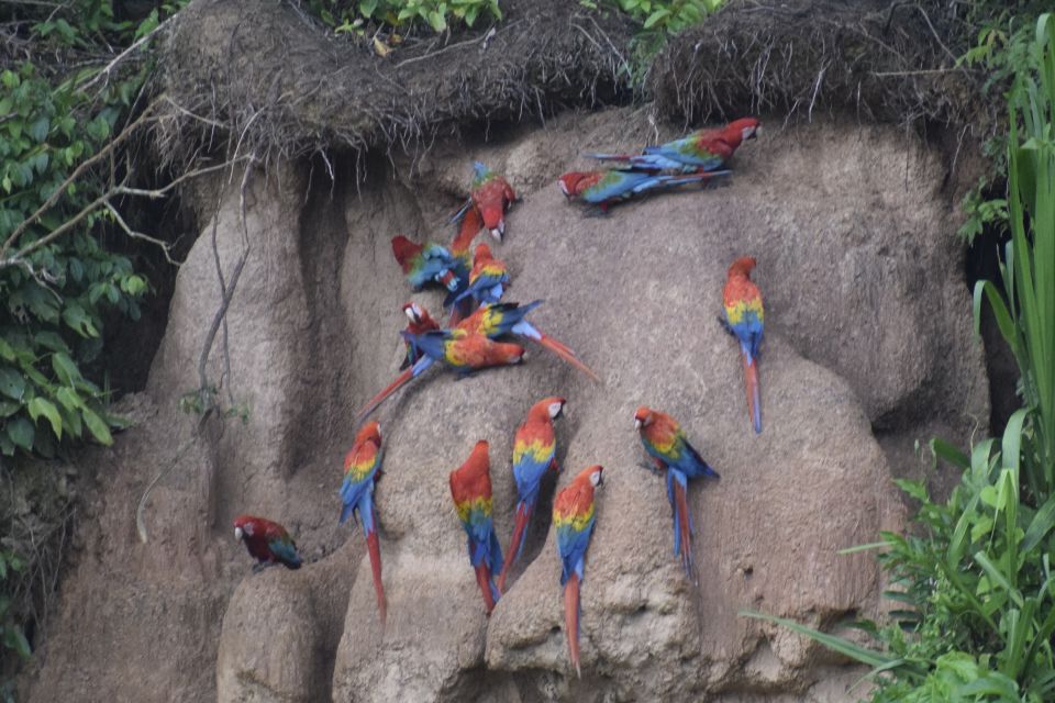 From Puerto Maldonado: 2-Day Tambopata Rainforest Tour - Tour Duration and Cancellation Policy