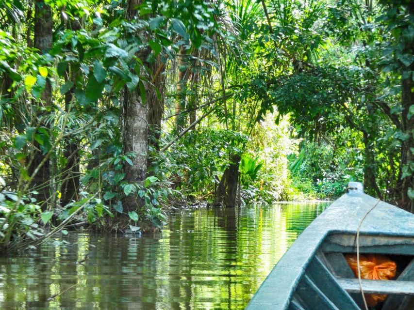 From Puerto Maldonado Jungle Trekking Sandoval Lake - Booking and Logistics for Puerto Maldonado Trek