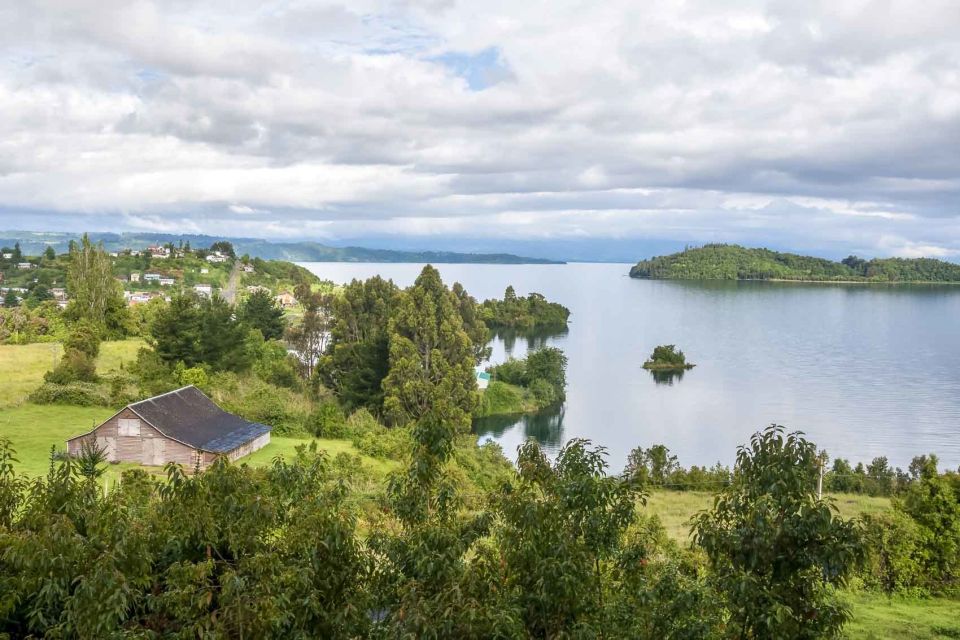From Puerto Montt or Puerto Varas: Frutillar Tour - Activity Details