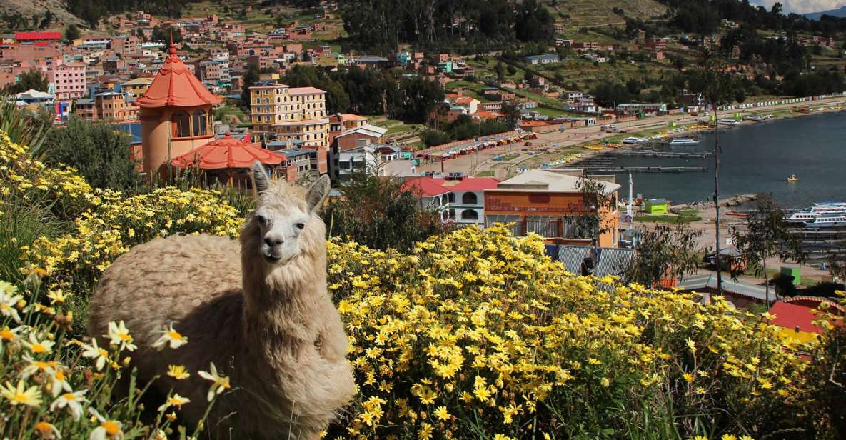 From Puno: 3day Excursion to La Paz and the Uyuni Salt Flats - Booking and Flexibility