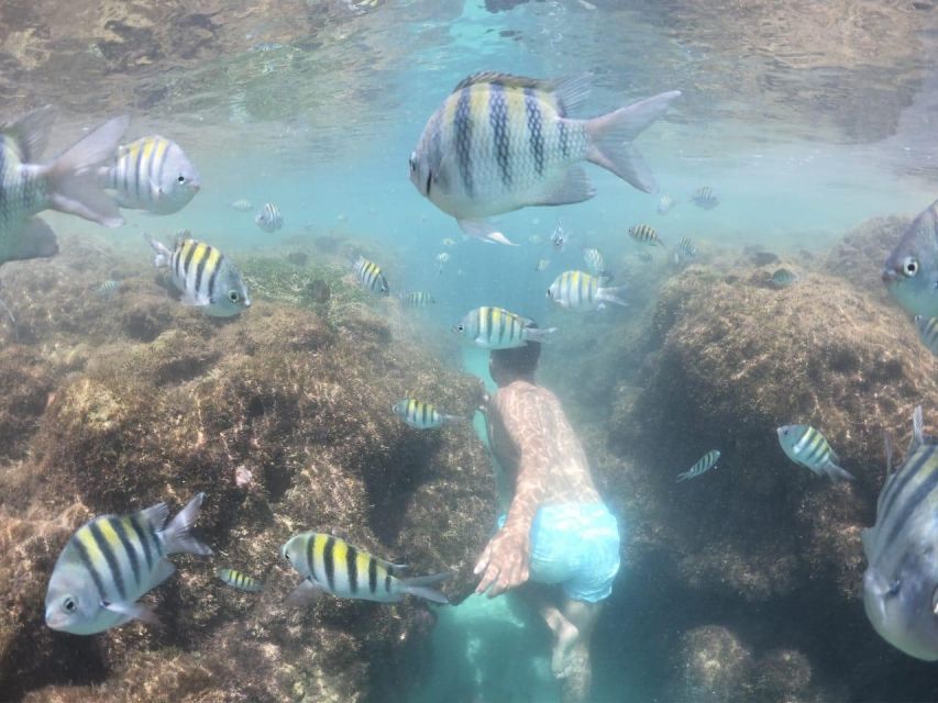 From Recife: Beach Day in Porto De Galinhas With Jangada Included